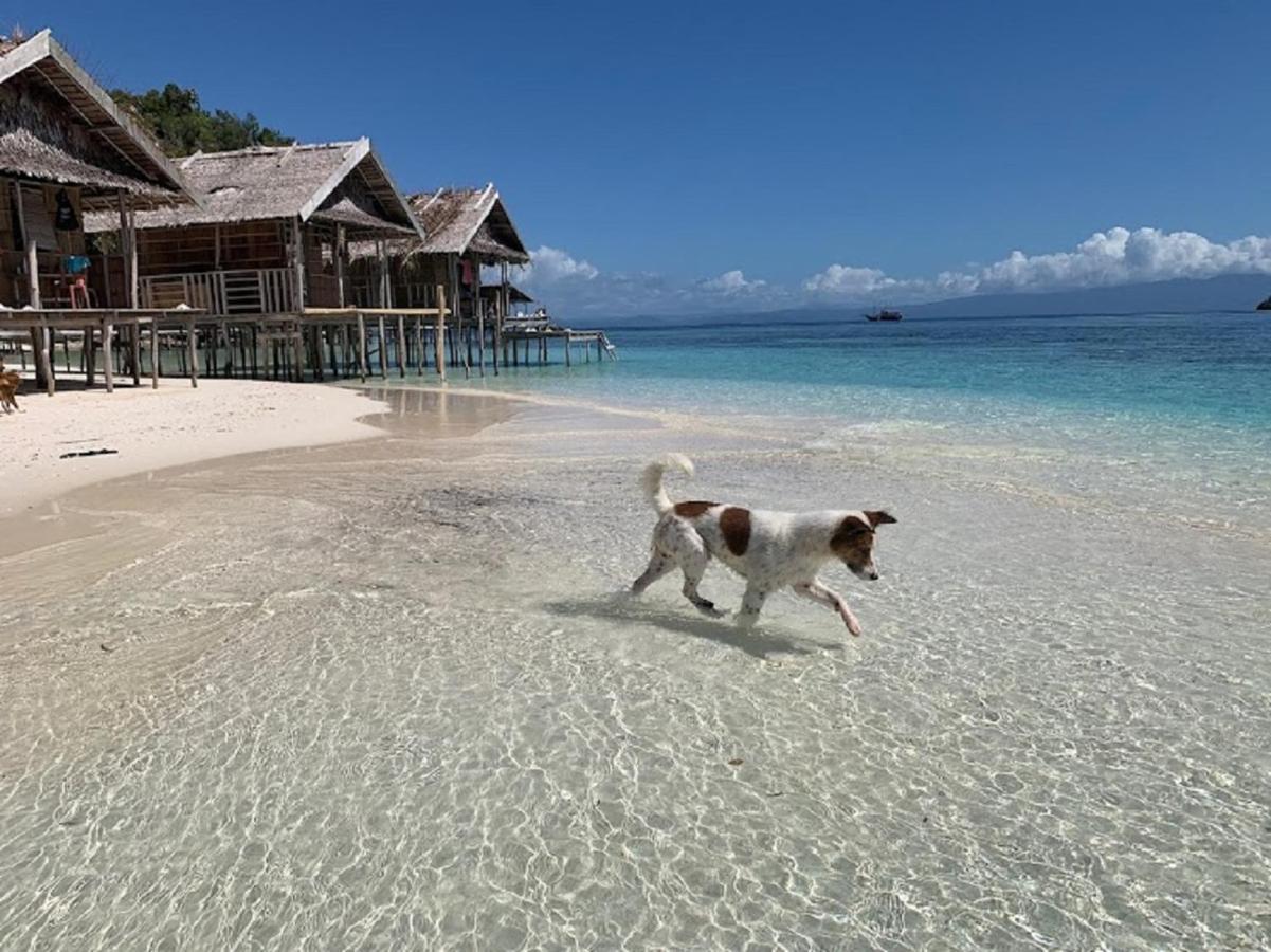 Nus Homestay Raja Ampat Kri Esterno foto